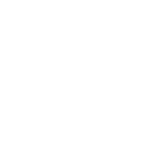 17 - assefaz-logo